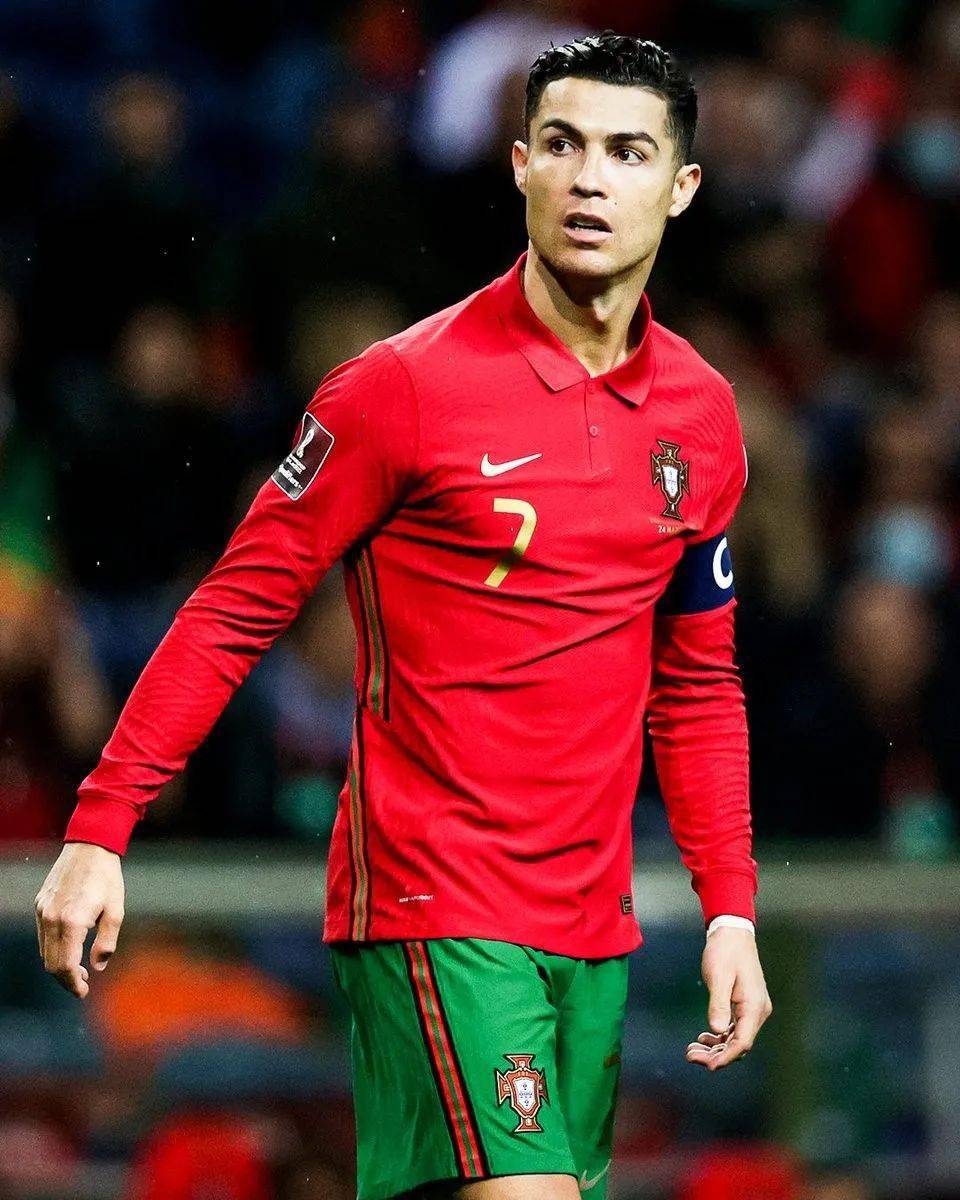 引进了一批 引进了一批