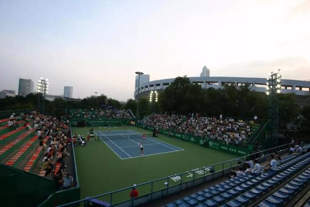 伤后回归者 伤后回归者